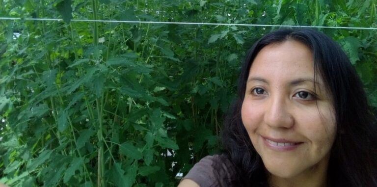 Unveiling diseases in quinoa and reviving lost Bolivian identity