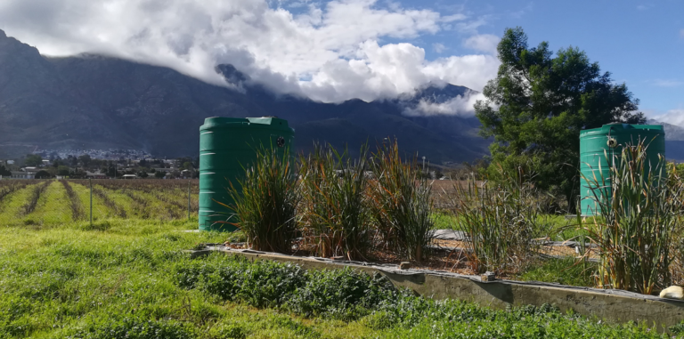 Multidisciplinary collaboration to secure the future of water in Cape Town